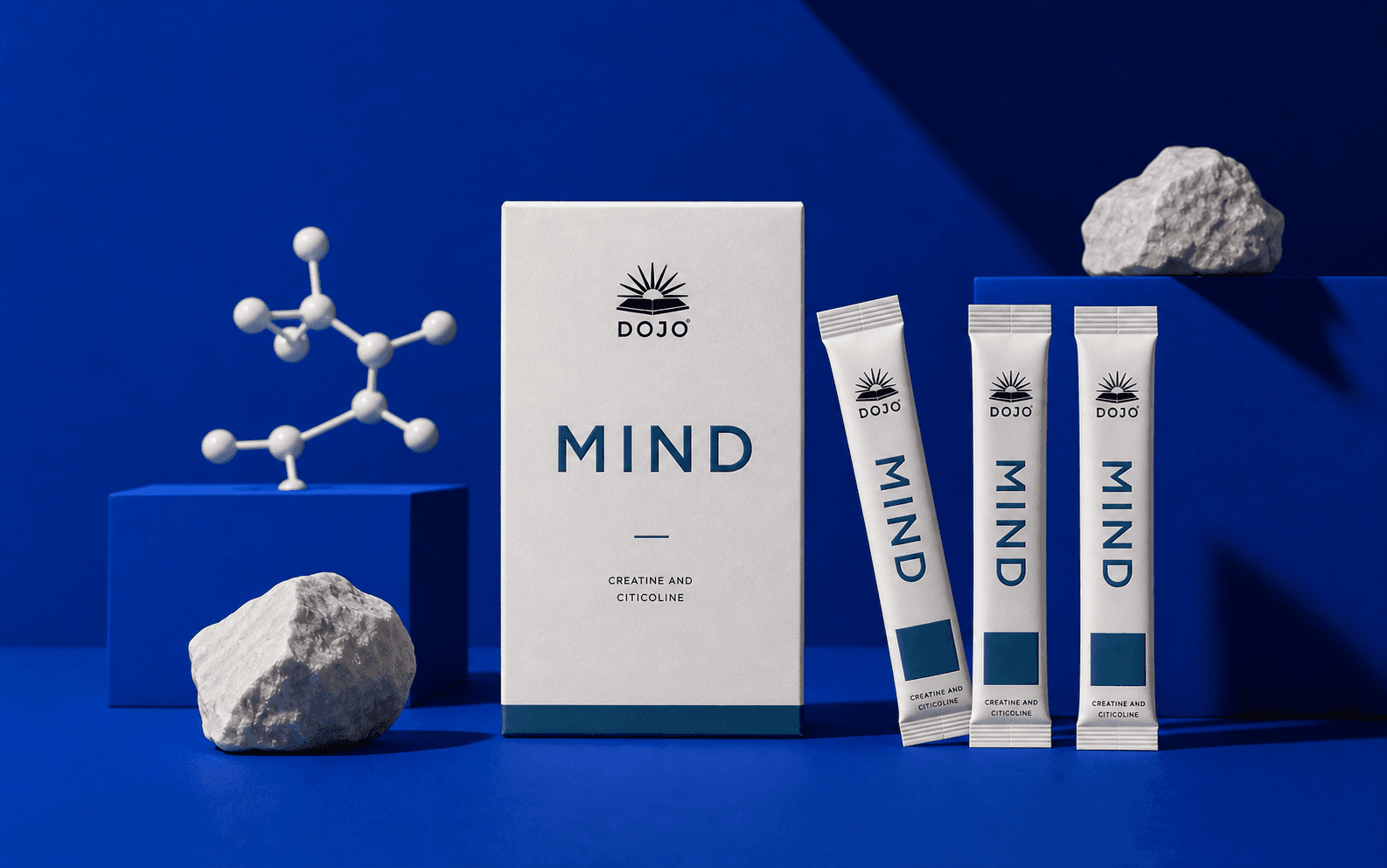DOJO Mind-ის კოლოფი და სტიკ-პაკები